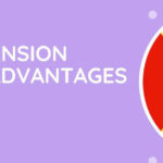 National Pension Scheme Disadvantages