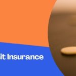 Bank Deposit Insurance Scheme